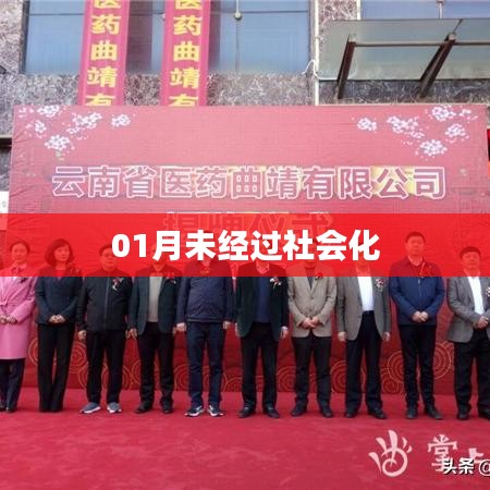 01月未社会化现象探讨