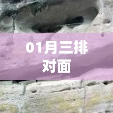 根据您的需求，以下是一个符合要求的标题，，一月三排对面，精彩瞬间不容错过。