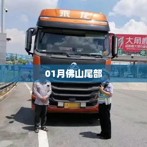 佛山尾部最新动态