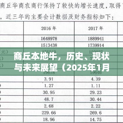 商丘牛业，历史传承、现状解析与未来展望