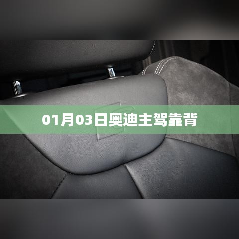奥迪主驾靠背细节曝光，01月03日新动态