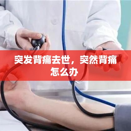 突发背痛去世，突然背痛怎么办 