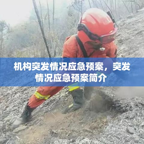 台球房用品 第76页