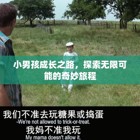 小男孩成长之路，探索无限可能的奇妙旅程