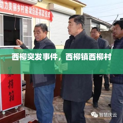 西柳突发事件，西柳镇西柳村 