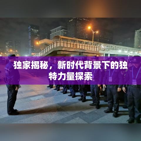 独家揭秘，新时代背景下的独特力量探索