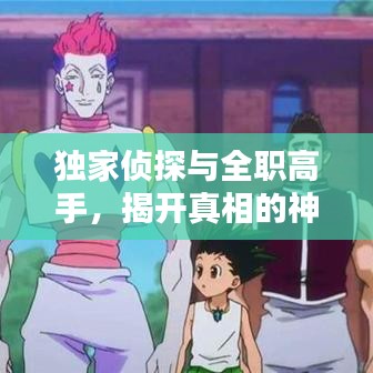 独家侦探与全职高手，揭开真相的神秘面纱