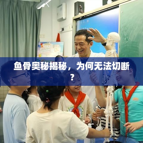 鱼骨奥秘揭秘，为何无法切断？
