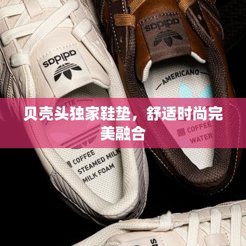 贝壳头独家鞋垫，舒适时尚完美融合