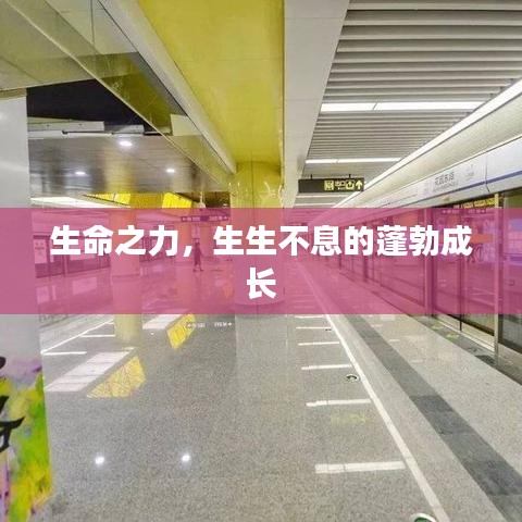 生命之力，生生不息的蓬勃成长