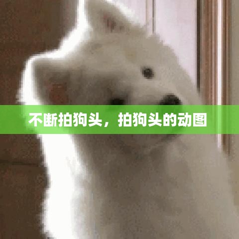 关于我们 第89页