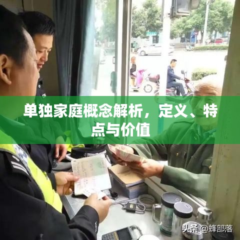 单独家庭概念解析，定义、特点与价值