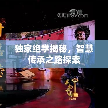 独家绝学揭秘，智慧传承之路探索