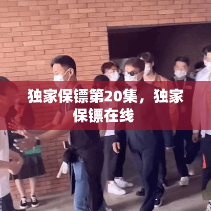 独家保镖第20集，独家保镖在线 
