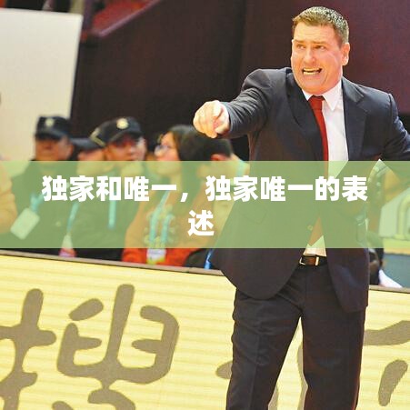 独家和唯一，独家唯一的表述 