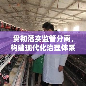 贯彻落实监管分离，构建现代化治理体系的必经之路