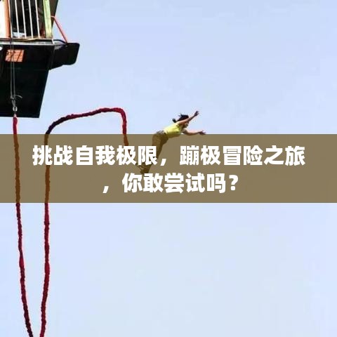 挑战自我极限，蹦极冒险之旅，你敢尝试吗？