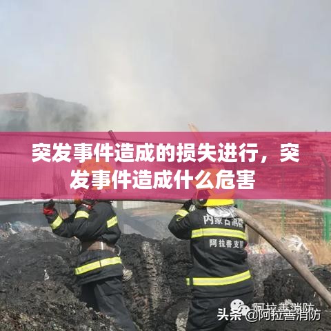 突发事件造成的损失进行，突发事件造成什么危害 