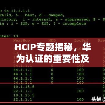 HCIP专题揭秘，华为认证的重要性及应用领域深度解析