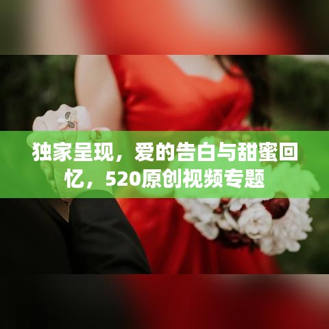 合作案例 第88页