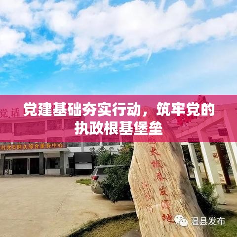 党建基础夯实行动，筑牢党的执政根基堡垒