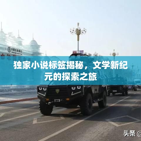 独家小说标签揭秘，文学新纪元的探索之旅