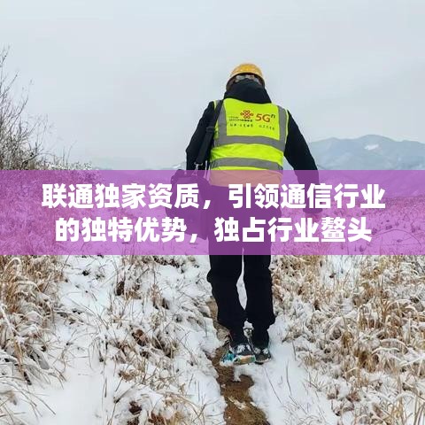 联通独家资质，引领通信行业的独特优势，独占行业鳌头