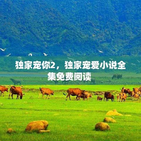 独家宠你2，独家宠爱小说全集免费阅读 