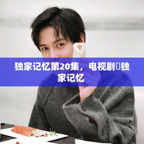 独家记忆第20集，电视剧巜独家记忆 