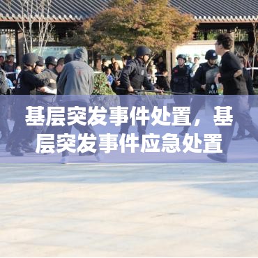 基层突发事件处置，基层突发事件应急处置方法 