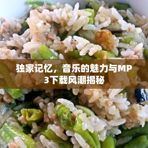 独家记忆，音乐的魅力与MP3下载风潮揭秘
