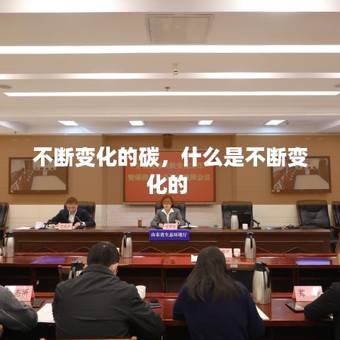 不断变化的碳，什么是不断变化的 