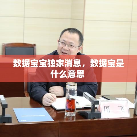 数据宝宝独家消息，数据宝是什么意思 