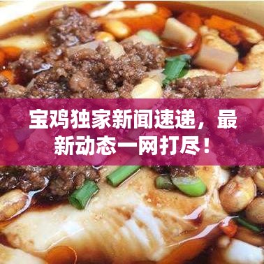 宝鸡独家新闻速递，最新动态一网打尽！