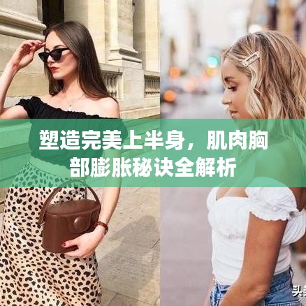 塑造完美上半身，肌肉胸部膨胀秘诀全解析