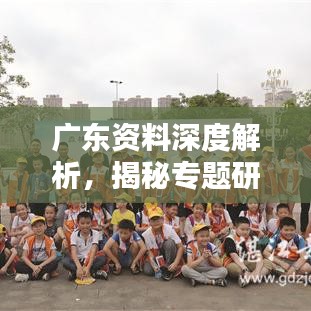 广东资料深度解析，揭秘专题研究背后的数据奥秘