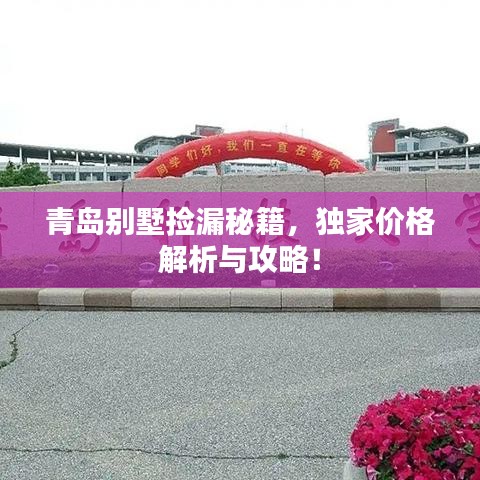 青岛别墅捡漏秘籍，独家价格解析与攻略！