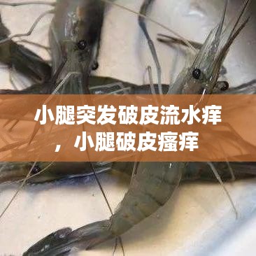 新闻中心 第79页