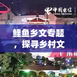 鲤鱼乡文专题，探寻乡村文化魅力，传统与现代交融之旅