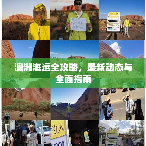 澳洲海运全攻略，最新动态与全面指南