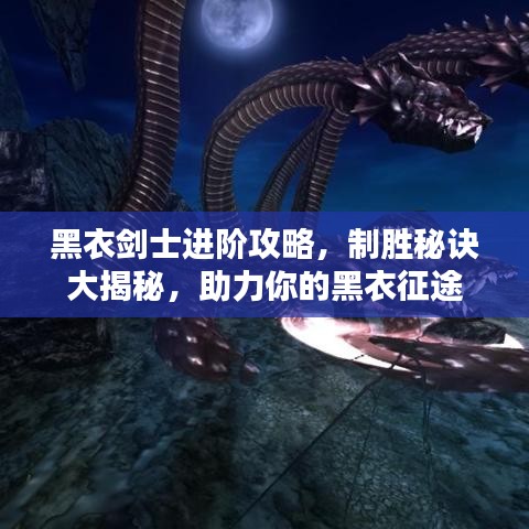 黑衣剑士进阶攻略，制胜秘诀大揭秘，助力你的黑衣征途