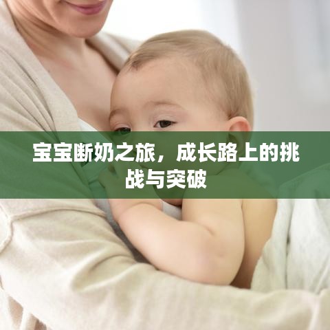 宝宝断奶之旅，成长路上的挑战与突破