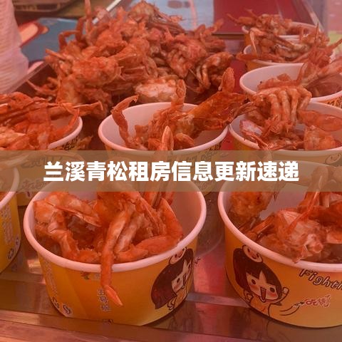 兰溪青松租房信息更新速递