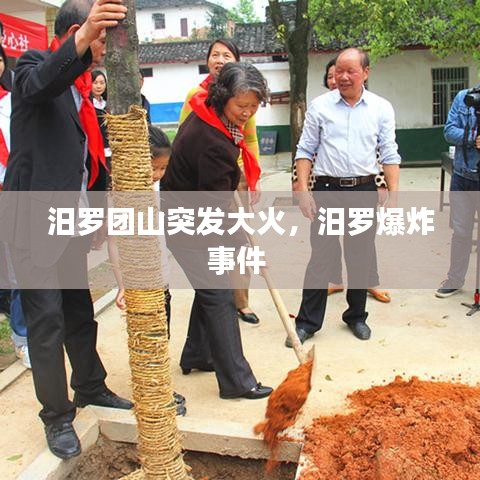 汨罗团山突发大火，汨罗爆炸事件 