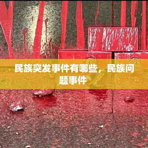 民族突发事件有哪些，民族问题事件 