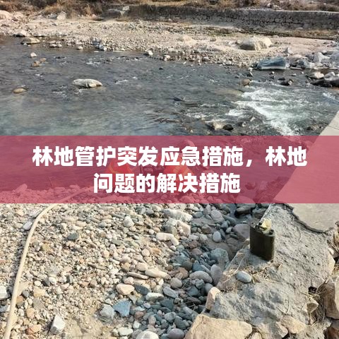 林地管护突发应急措施，林地问题的解决措施 