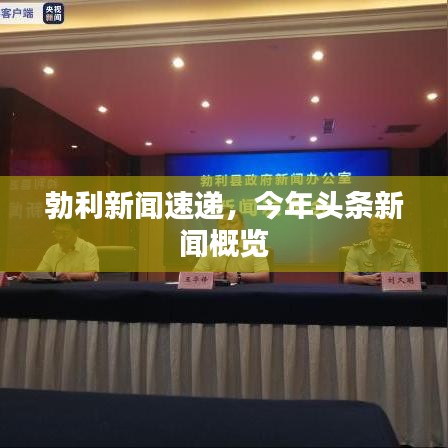 勃利新闻速递，今年头条新闻概览