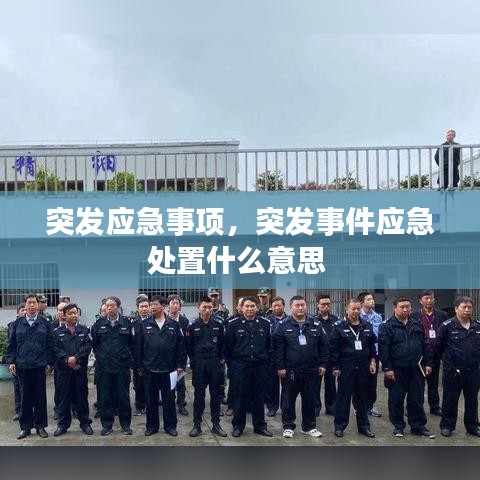 突发应急事项，突发事件应急处置什么意思 