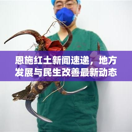 恩施红土新闻速递，地方发展与民生改善最新动态报道