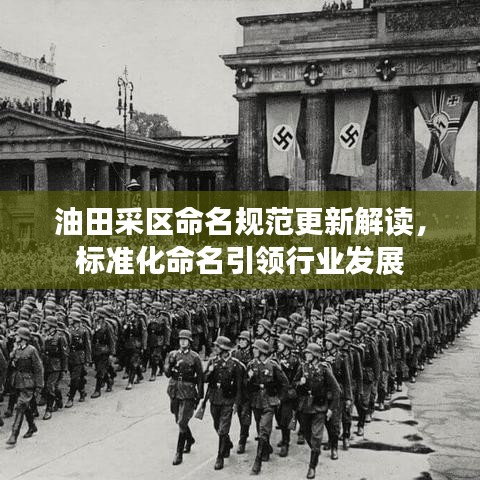 油田采区命名规范更新解读，标准化命名引领行业发展